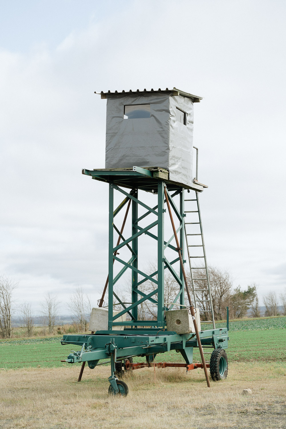 Maurice Graf: Anthropozän 5